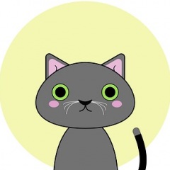 12位のイメージ