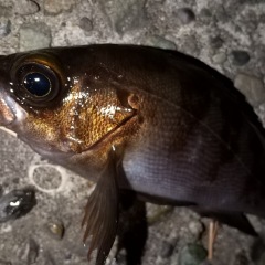 19位のイメージ