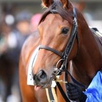 52位のイメージ