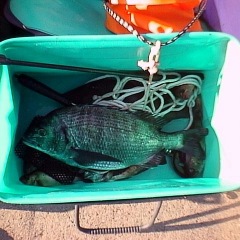 1544位のイメージ