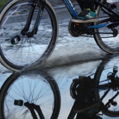 28位のイメージ