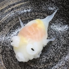 14位のイメージ