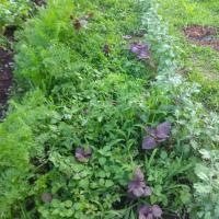 102位のイメージ