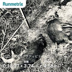 63位のイメージ