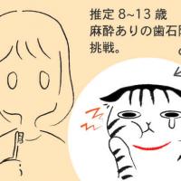 37位のイメージ