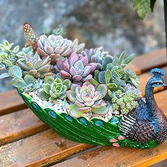 45位のイメージ