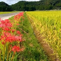 27位のイメージ