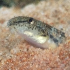 19位のイメージ