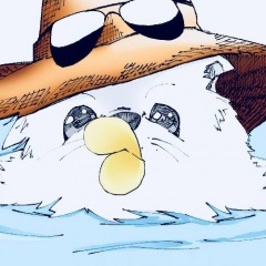 28位のイメージ