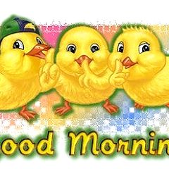 17位のイメージ