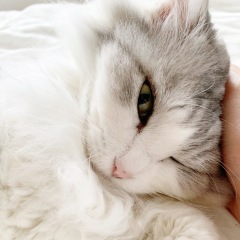 153位のイメージ