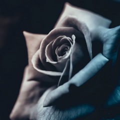 65位のイメージ