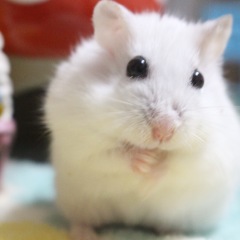 23位のイメージ