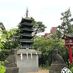 12位のイメージ