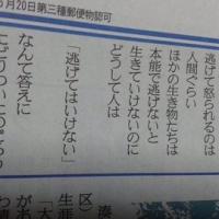 61位のイメージ