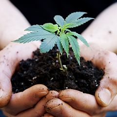 58位のイメージ