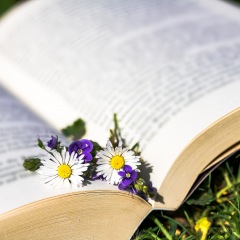 61位のイメージ