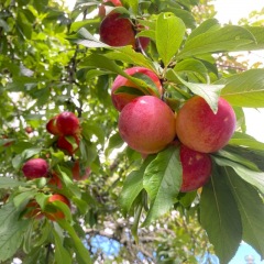 112位のイメージ