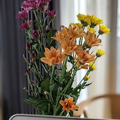 50位のイメージ