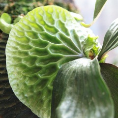 63位のイメージ