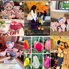 29位のイメージ