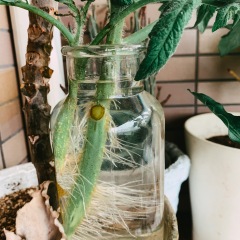 12位のイメージ