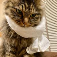 2263位のイメージ