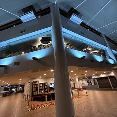 12位のイメージ