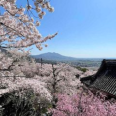 19位のイメージ