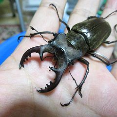 29位のイメージ