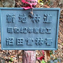 25位のイメージ