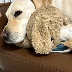 14位のイメージ