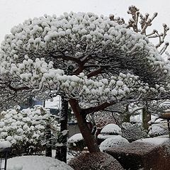 11位のイメージ