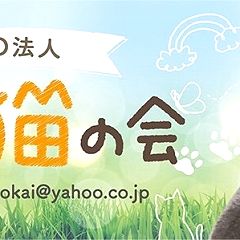 64位のイメージ