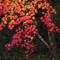 15位のイメージ