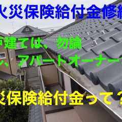 37位のイメージ