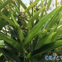 33位のイメージ