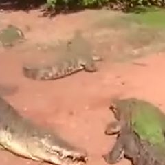 18位のイメージ