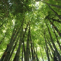 47位のイメージ