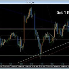 15位のイメージ