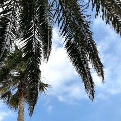 671位のイメージ