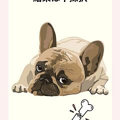 20位のイメージ