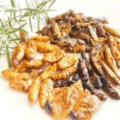 174位のイメージ