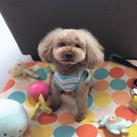 10位のイメージ