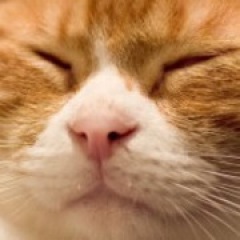 105位のイメージ