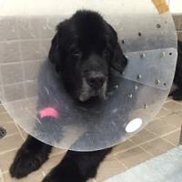 26位のイメージ