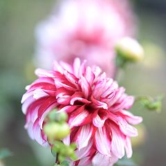 13位のイメージ