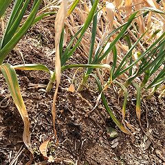 151位のイメージ