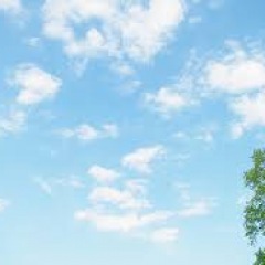 29位のイメージ