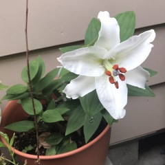 28位のイメージ